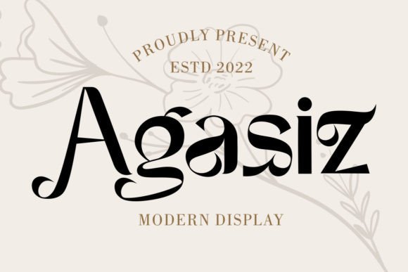 Agasiz Font Review: Modern Display Typography for Brands